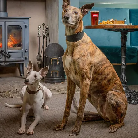 Harts Head 宾馆 塞特尔